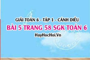 Giải bài 5 trang 58 Toán 6 Tập 1 SGK Cánh Diều